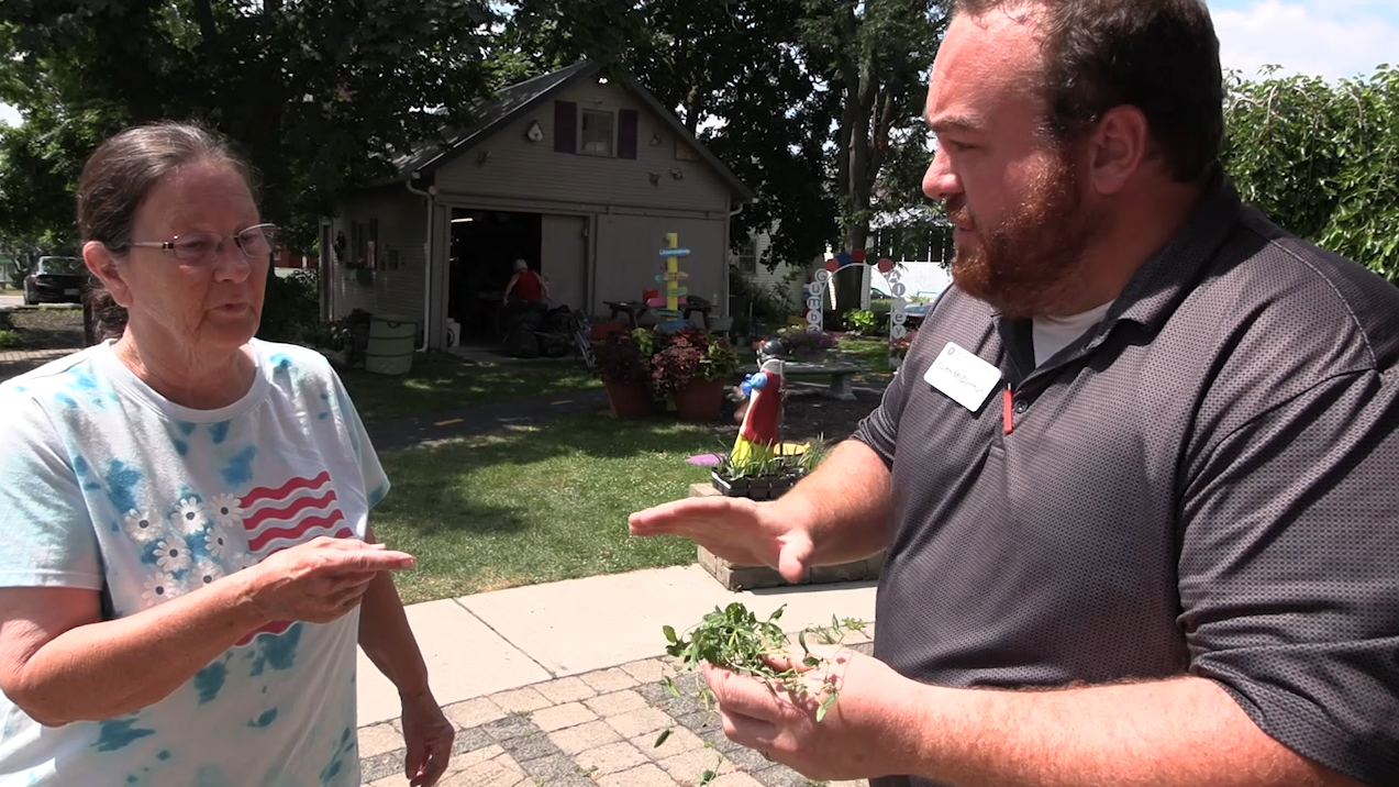 Brown Bag Lunch & Learn tackles the age-old garden foe: weeds